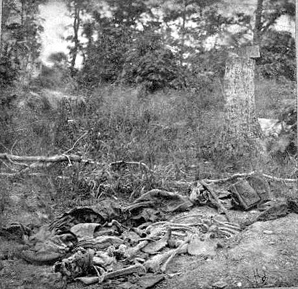 Unburied Remains on the Bull Run Battlefield