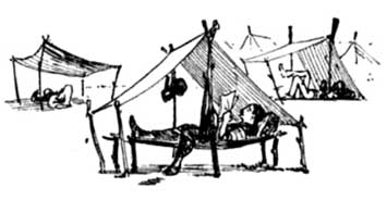Charles Reed sketch of tents pitched in summer