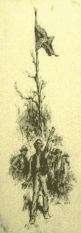 Illustration Man Shouting with Rebel Flag