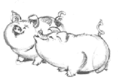 Albert Hurter sketch of pigs