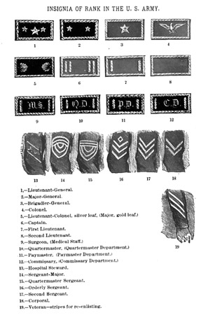 diagram of army insignia