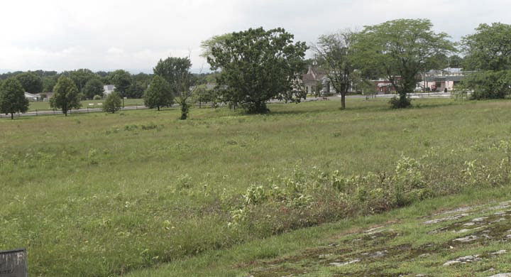 View northwest from the Bryan Farm