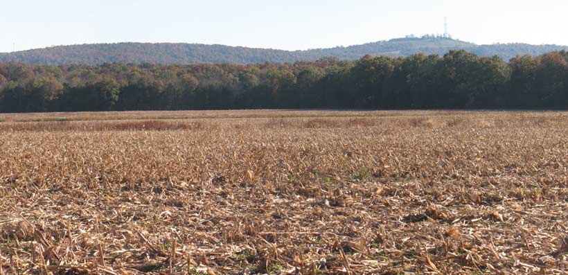 Clarke's Mountain from Mitchell's Station