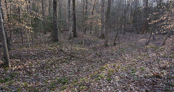 Picture of Confederate Earthworks from Mine Run Campaign