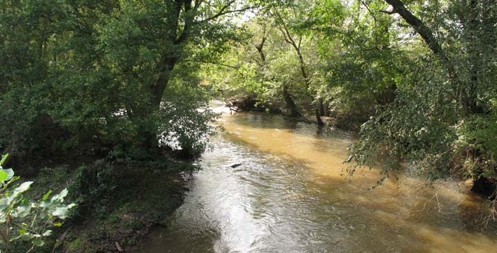 Mountain Run at Paoli Mills