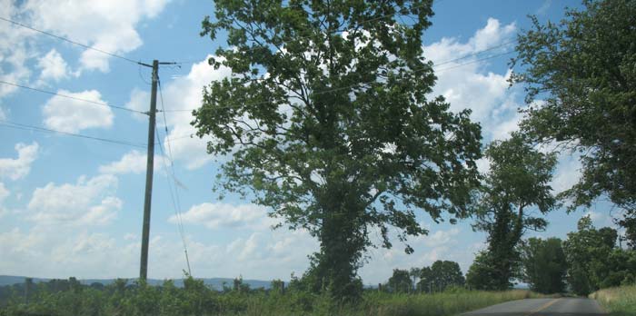 Scenery on the road south of Waterford