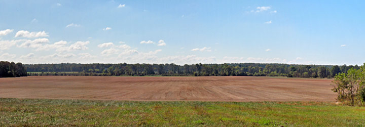 View south from the bottom of the ridge