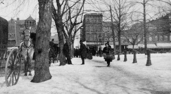 Market Scene, Washington in Winter, 1889