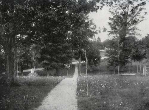 Ziegler's Grove as it used to look