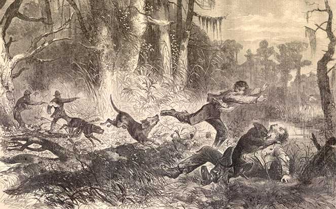 illustration of bloodhounds chasing prisoners