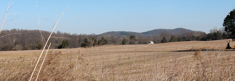 Cedar Mountain Back Ridge