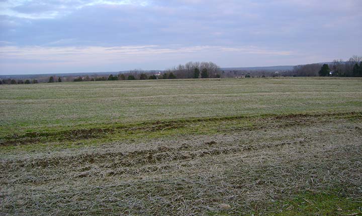 Camp Ground, Mitchell's Station