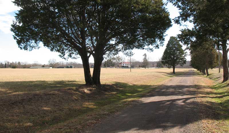 Road to Morton's Ford