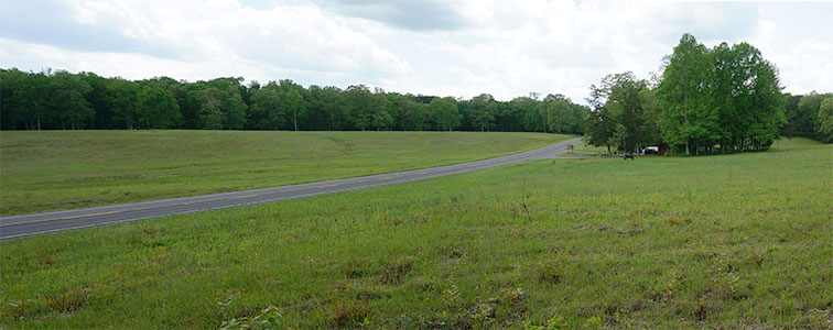 Saunders Field view west